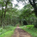 One of the many beautiful walks!