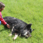 Dave enjoying a belly rub