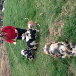 Feeding down at the farm!