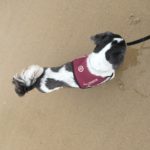 Grace is loving her trip to the beach!
